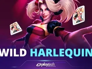Wild Harlequin